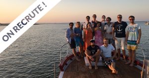 job startup bordeaux