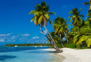 Photo de plusieurs bateaux dans les antilles