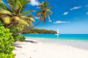 photo d'un voilier sur les côte de la guadeloupe