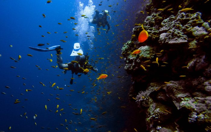 Les 10 plus beaux spots de plongée au monde