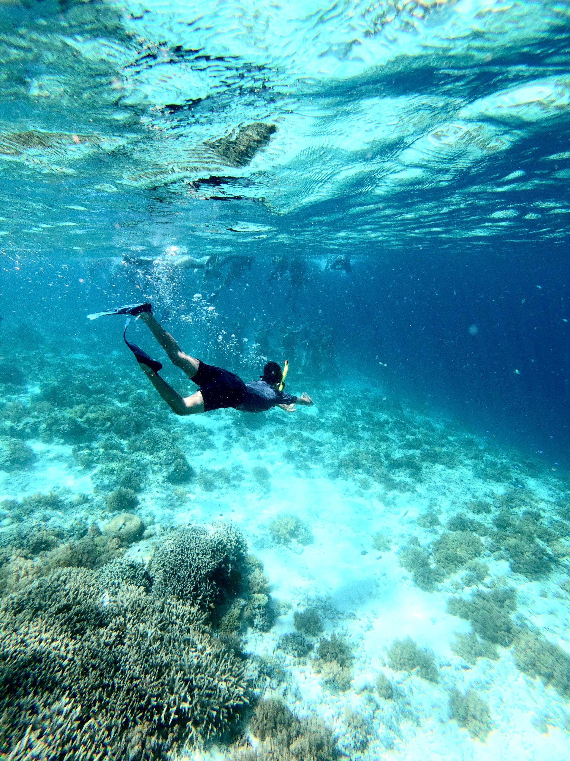 Meilleurs spots de plongée en Corse