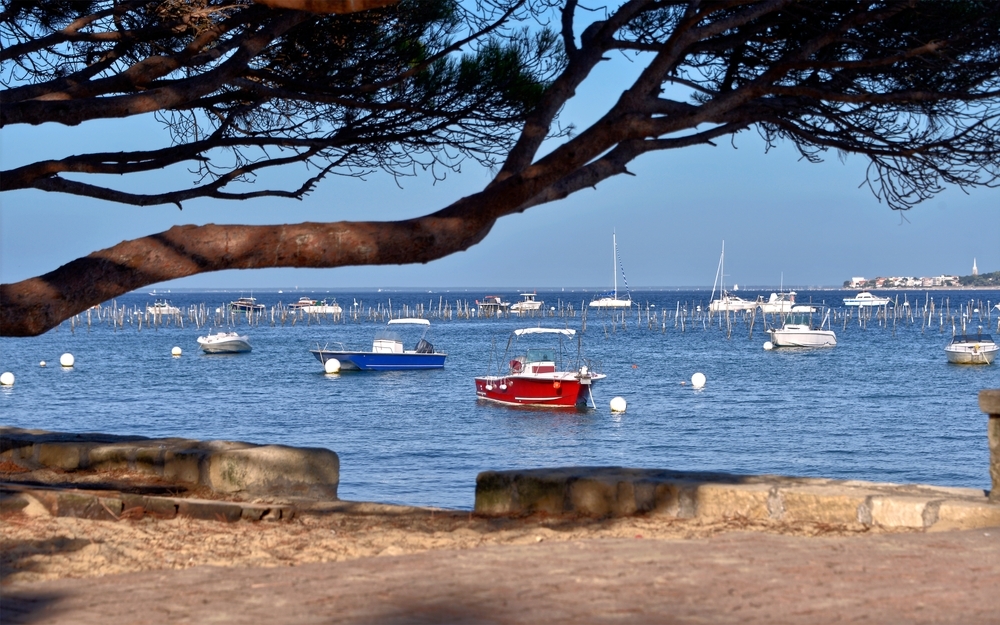 Itinéraire d’une journée en bateau depuis Grand Piquey : à la découverte du Bassin d’Arcachon