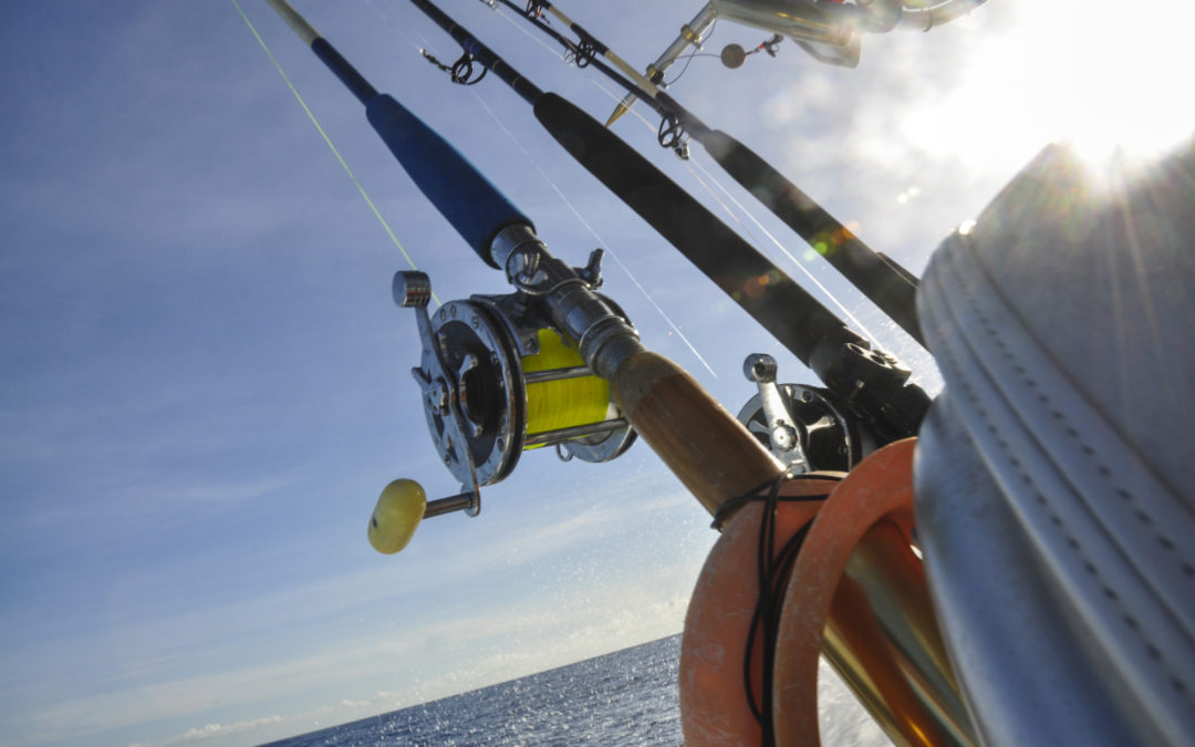 Réservez une excursion de pêche guidée à San Diego