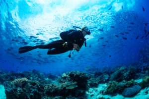 plongee_bahamas